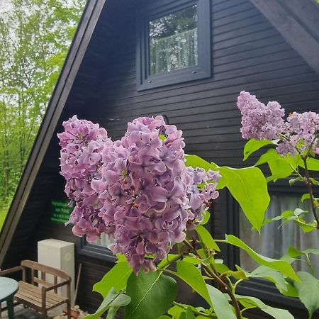 Ferienhaus Marie 125 Bad Arolsen Zewnętrze zdjęcie
