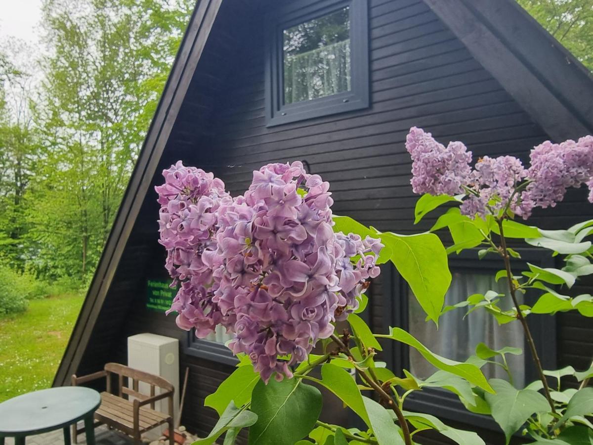 Ferienhaus Marie 125 Bad Arolsen Zewnętrze zdjęcie